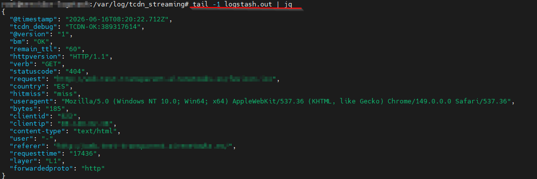 streaming-logs-logstash-log.png